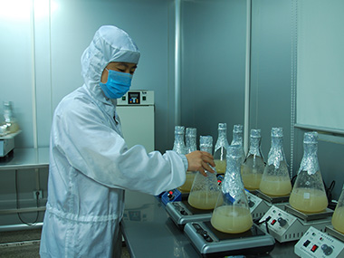 Technical support unit of the Company: Liaoning Institute of Microbiology
