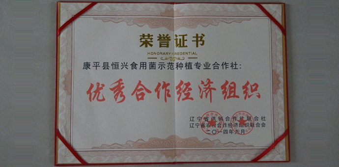 资质荣誉